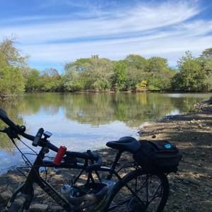 Meet your Posher, Roger